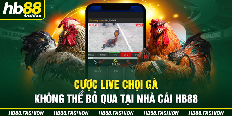 Cược Live Chọi Gà Không Thể Bỏ Qua Tại Nhà Cái HB88