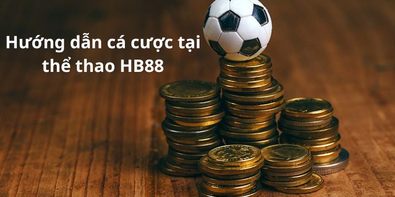 Quy trình đăng ký tham gia tại sảnh cược